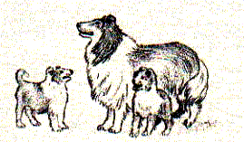 Dogs.gif (15975 bytes)