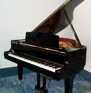 Kawai495.jpg (9831 bytes)