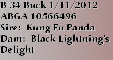 boergoats07001011.jpg