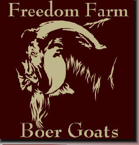 boergoats07001035.jpg